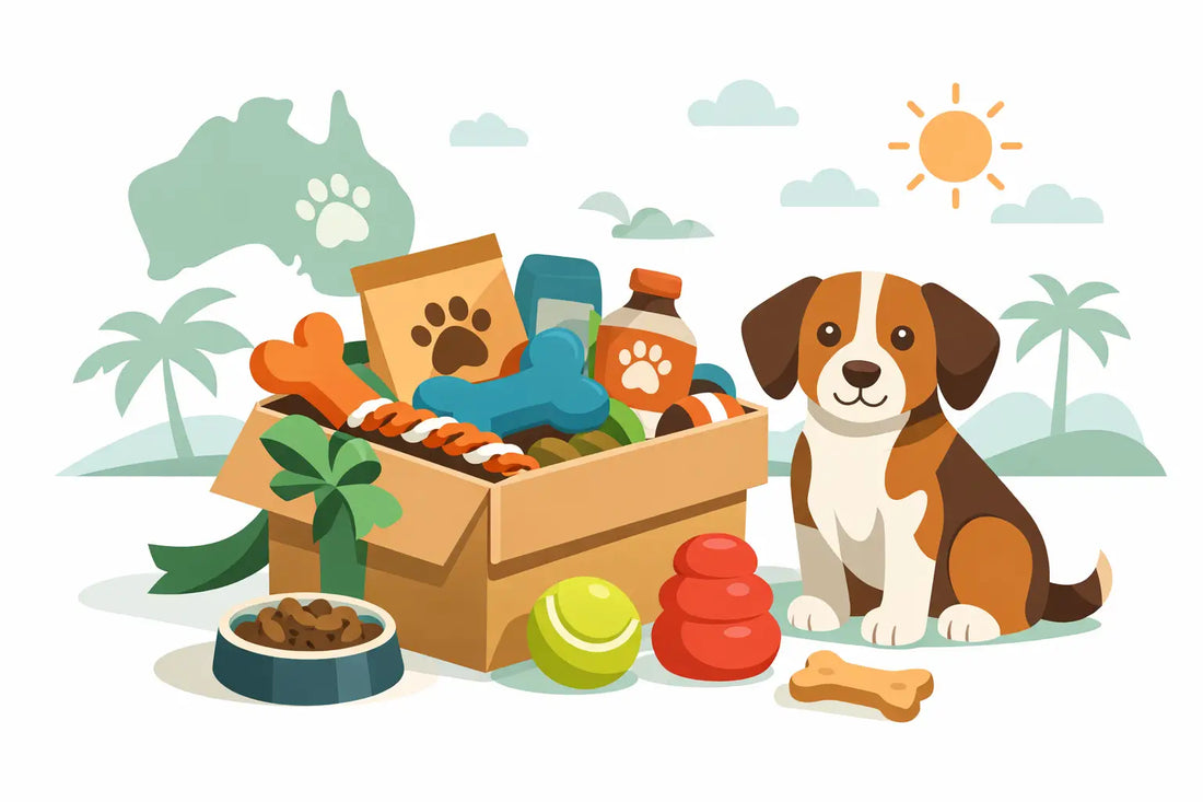 Dog Gift Box Australia: What to Put In It