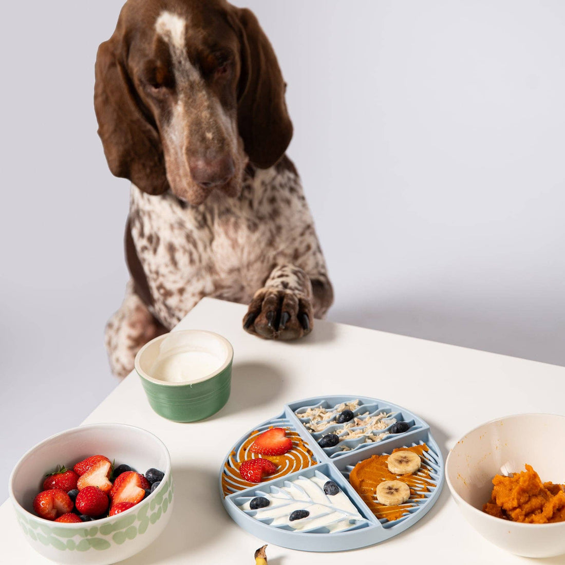 Calm Your Dog: How Lick Mats Help Anxious Dogs + Easy Recipes