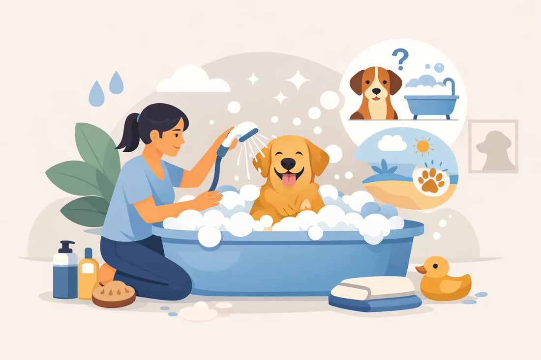 How Often Should You Wash Dogs?