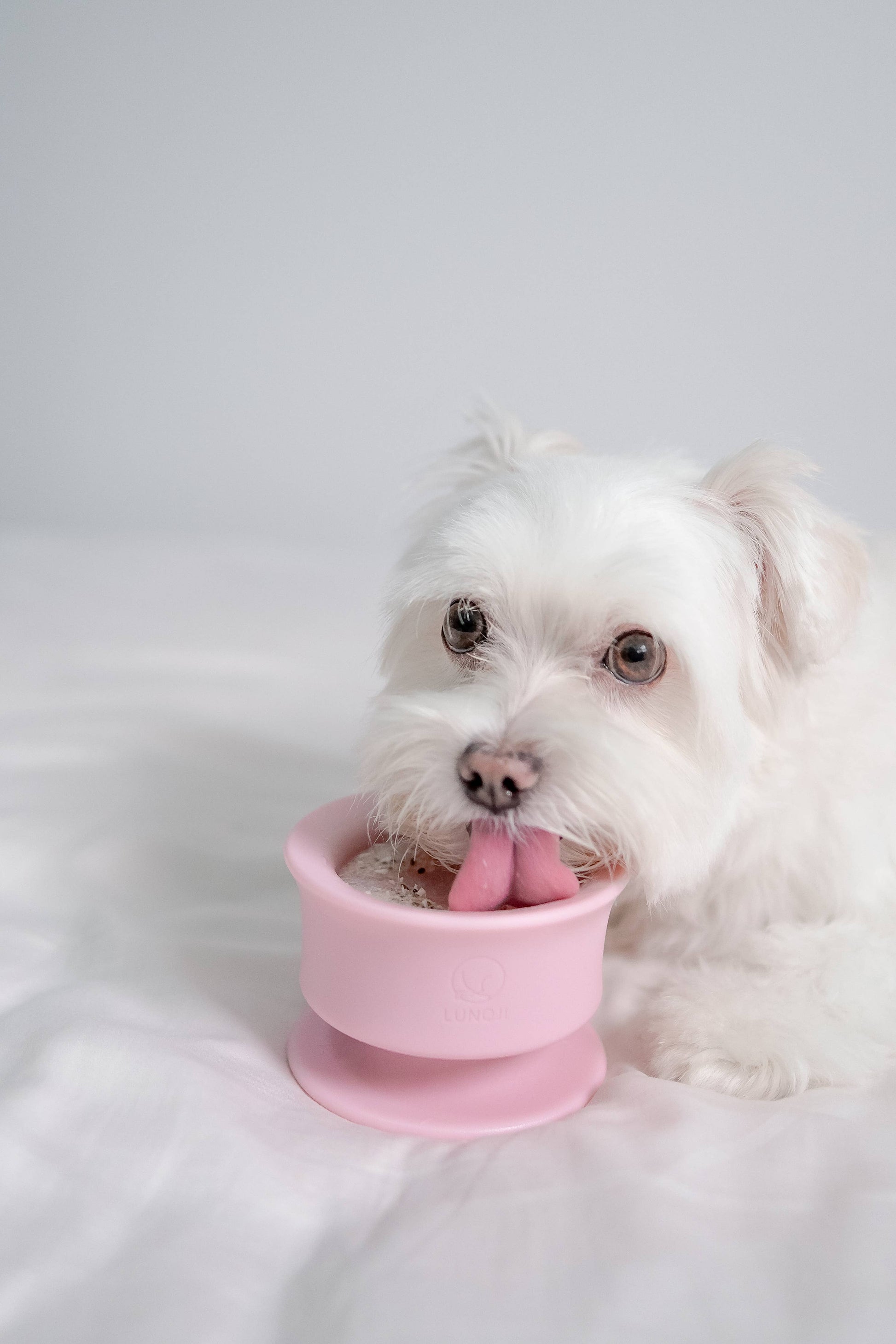 Lunoji - CHEWDEN Trove: Dog Enrichment Feeder | Frozen Treat Cup