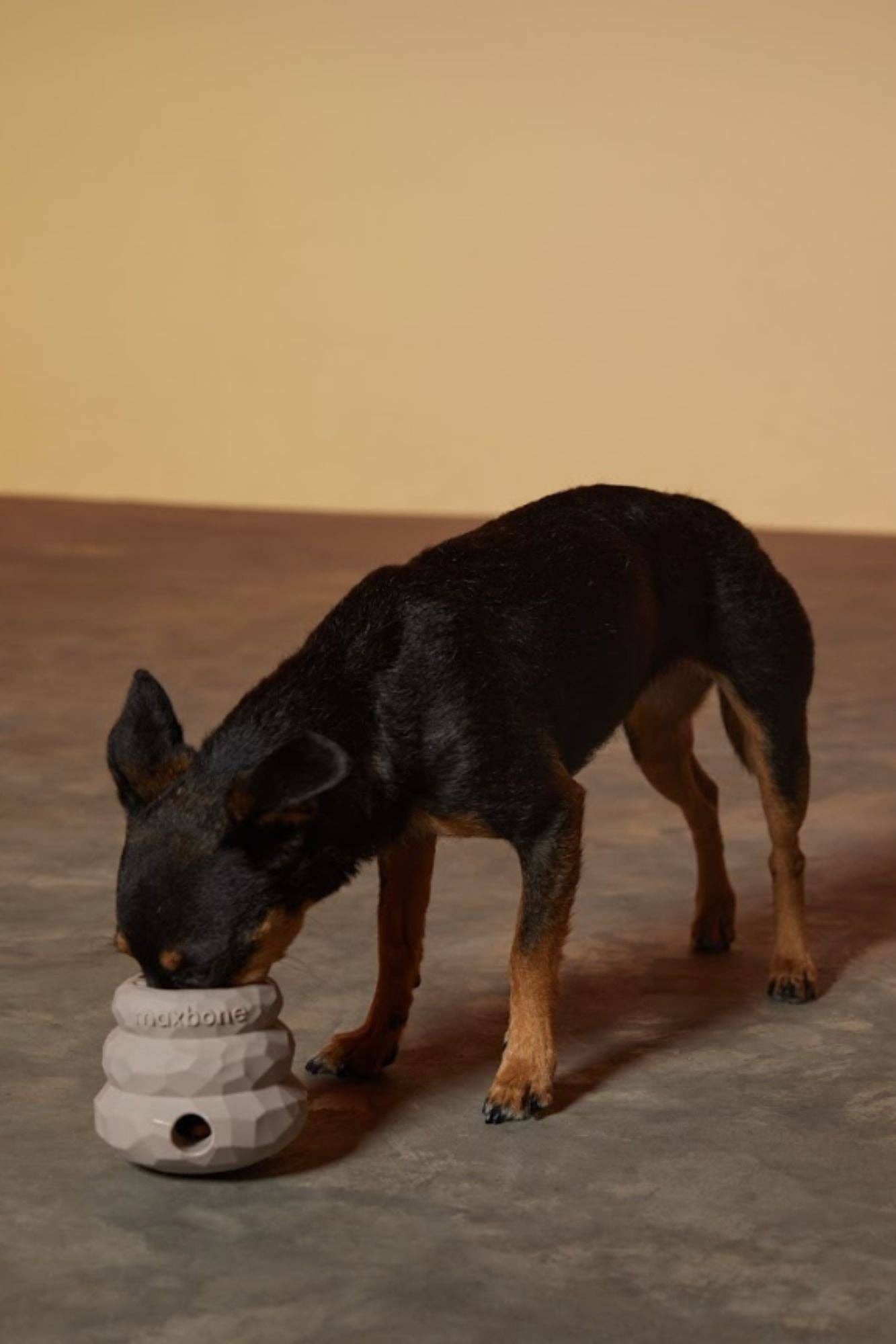 maxbone - Honeycomb Balance Toy