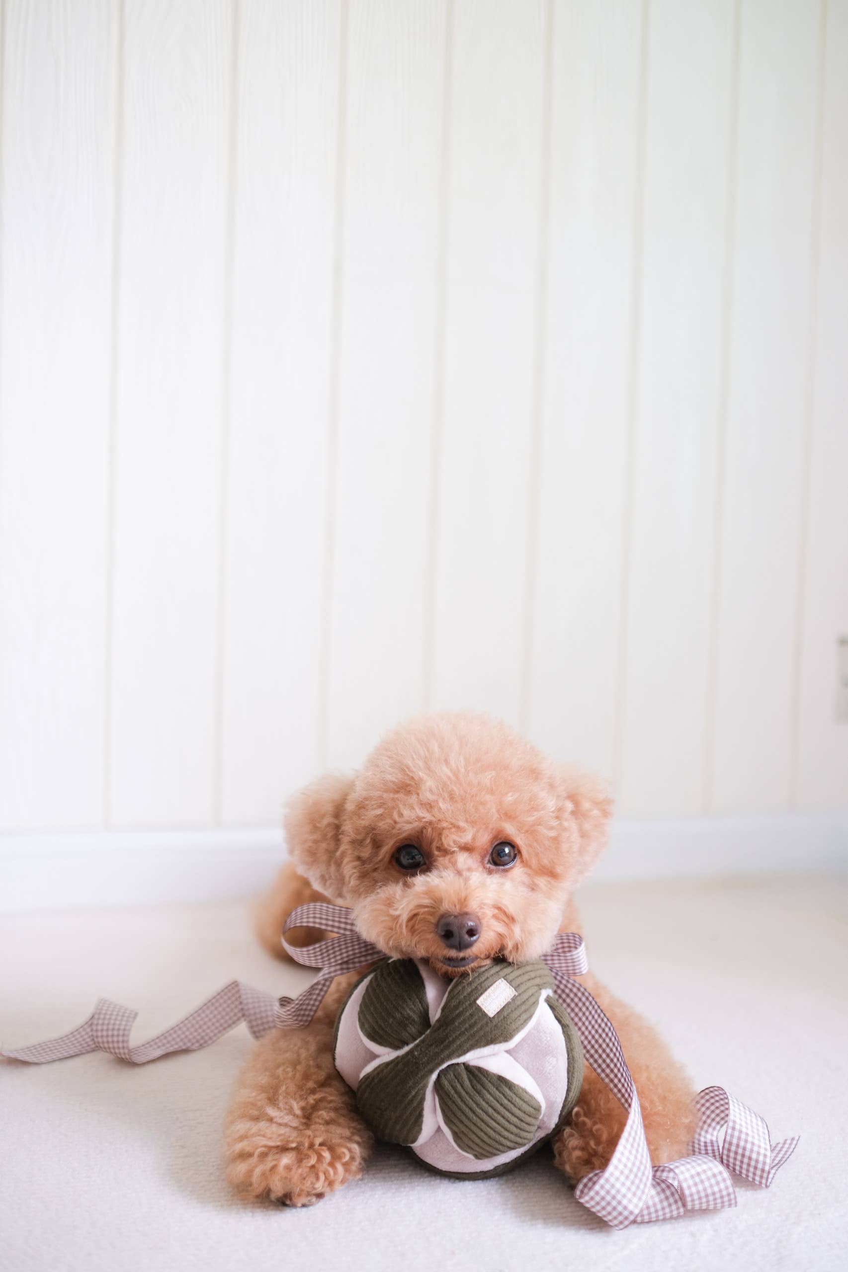 Lambwolf Collective - MONTI Enrichment Toy