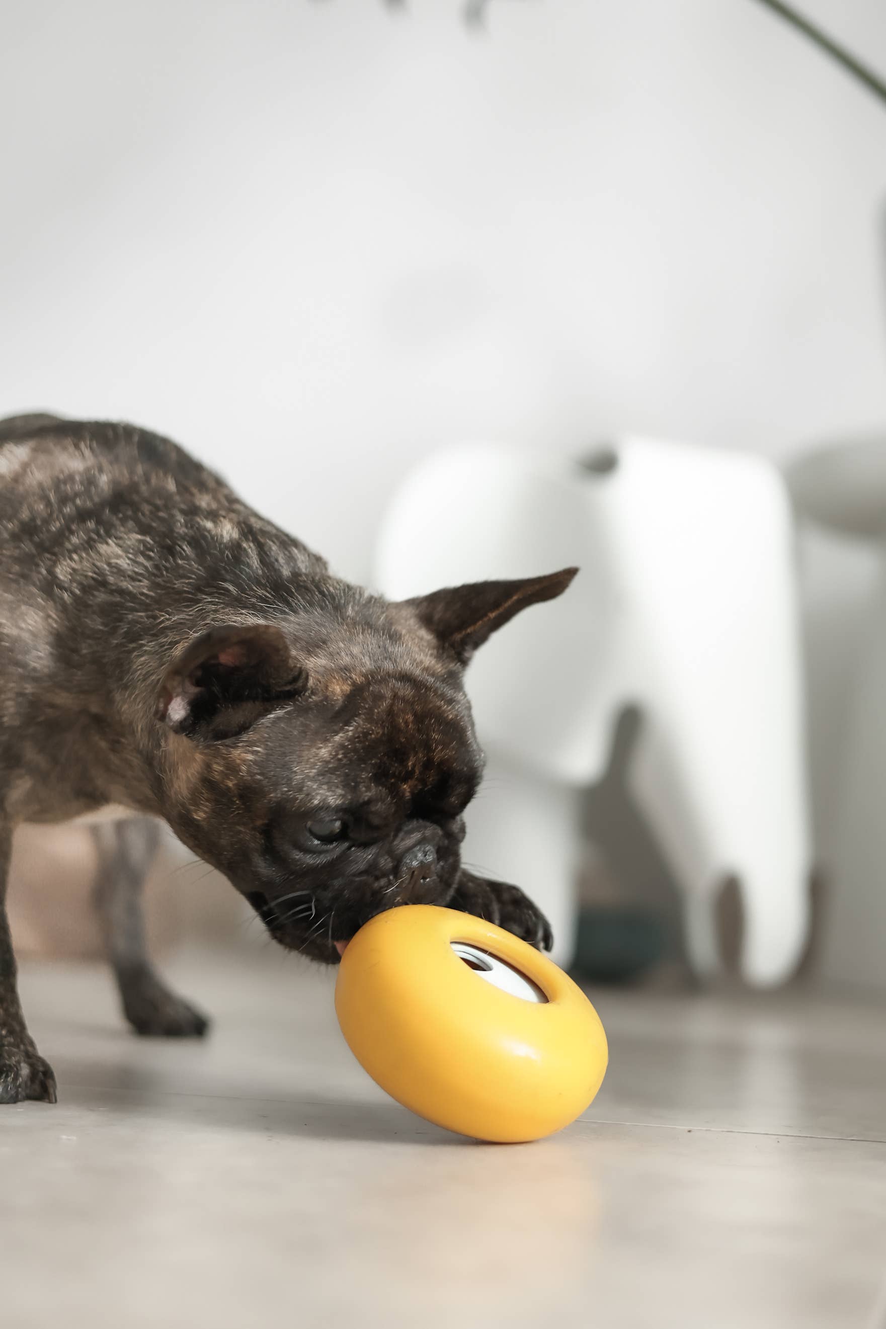 Lunoji - Pebble: All-in-One Dog Toy | Slow Feeder + Treat Dispenser