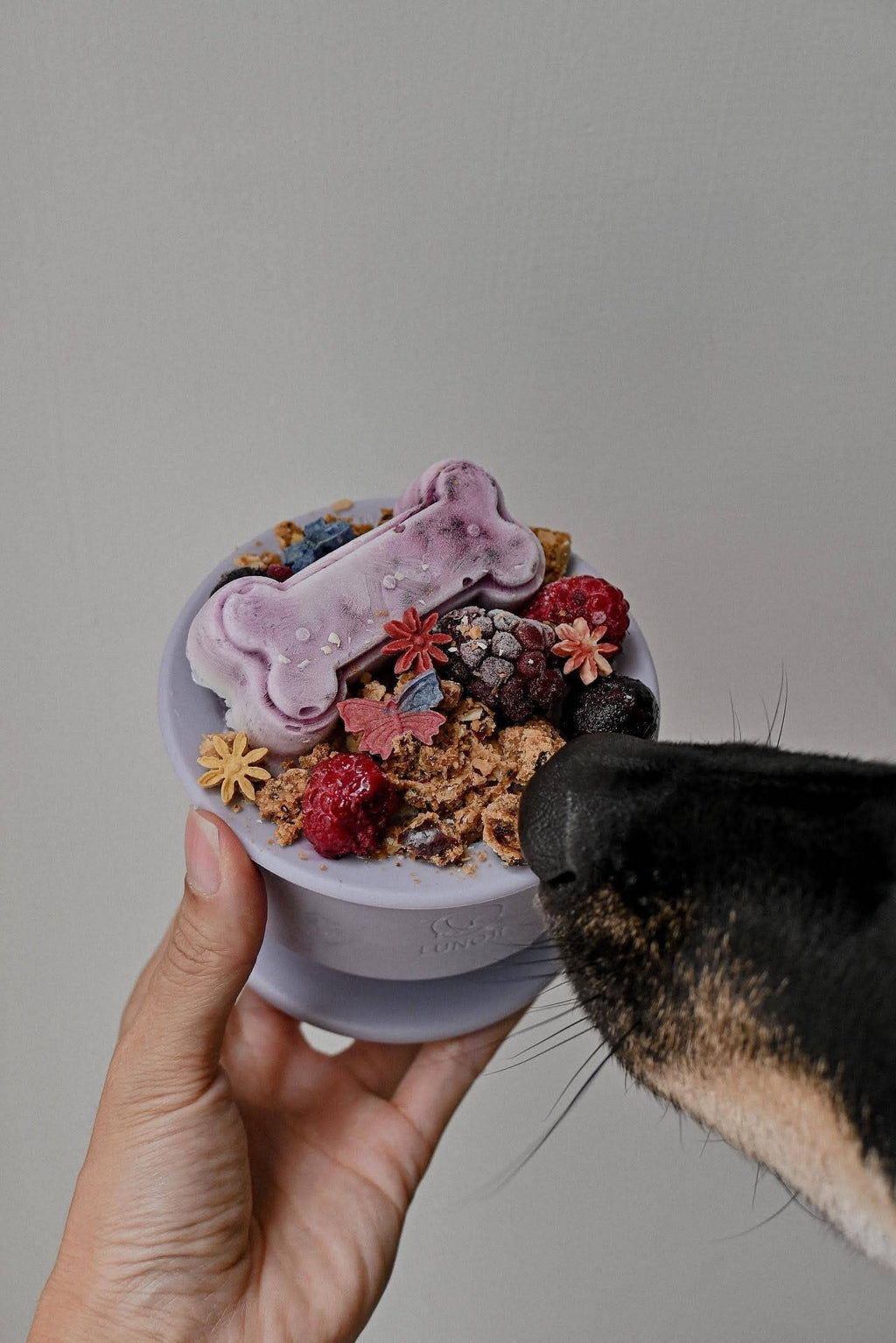 Lunoji - CHEWDEN Trove: Dog Enrichment Feeder | Frozen Treat Cup