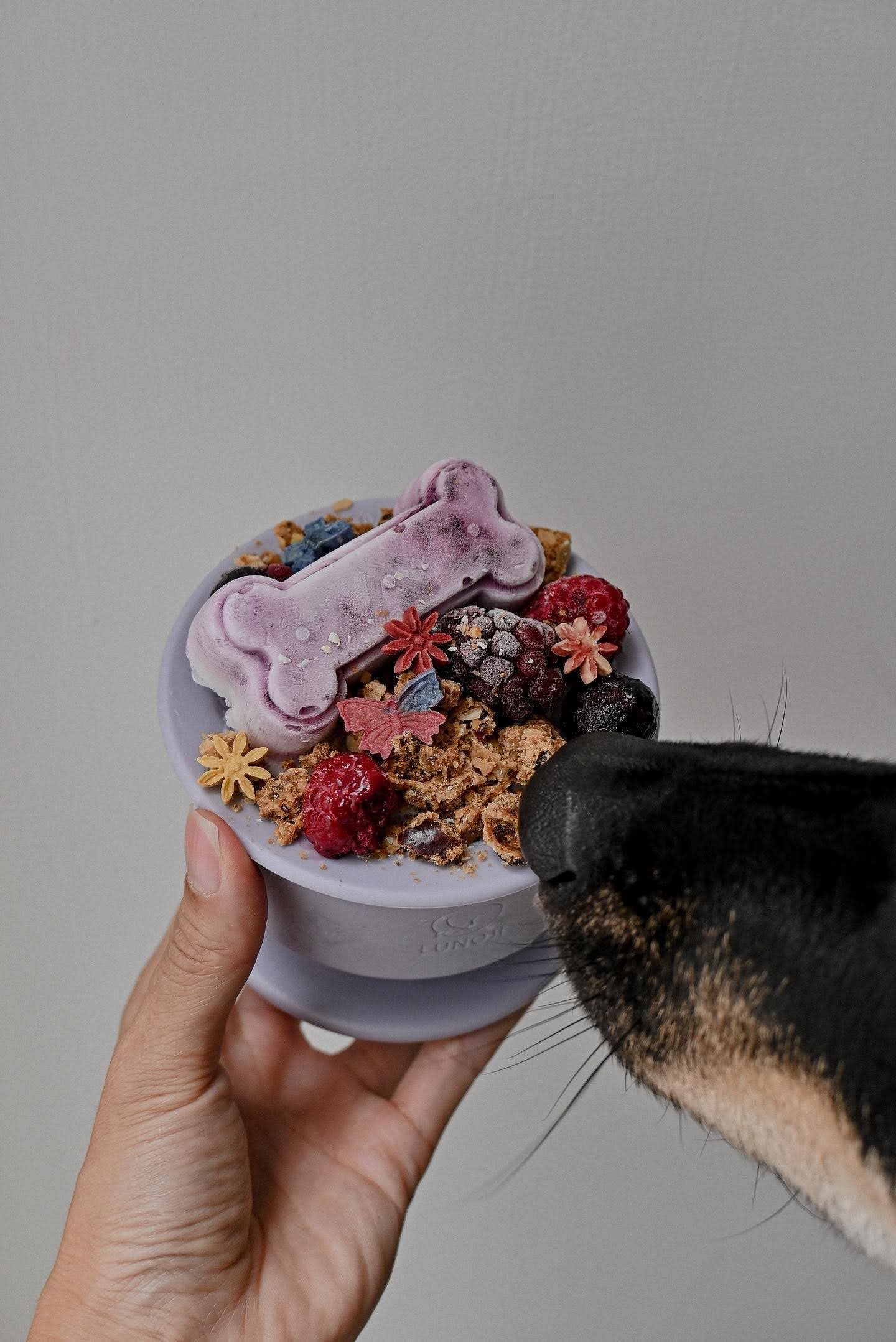 Lunoji - CHEWDEN Trove: Dog Enrichment Feeder | Frozen Treat Cup