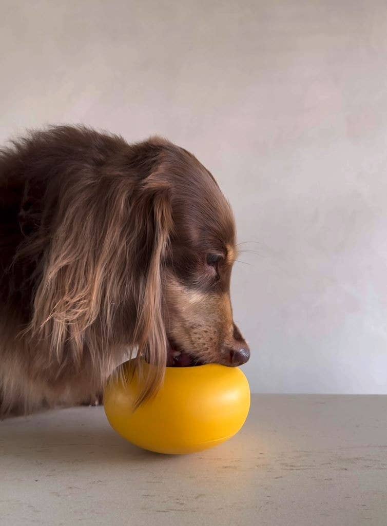 Lunoji - Pebble: All-in-One Dog Toy | Slow Feeder + Treat Dispenser