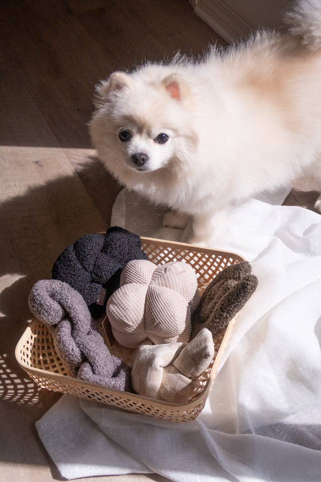 Pruff - Infinity Snuffle Toy