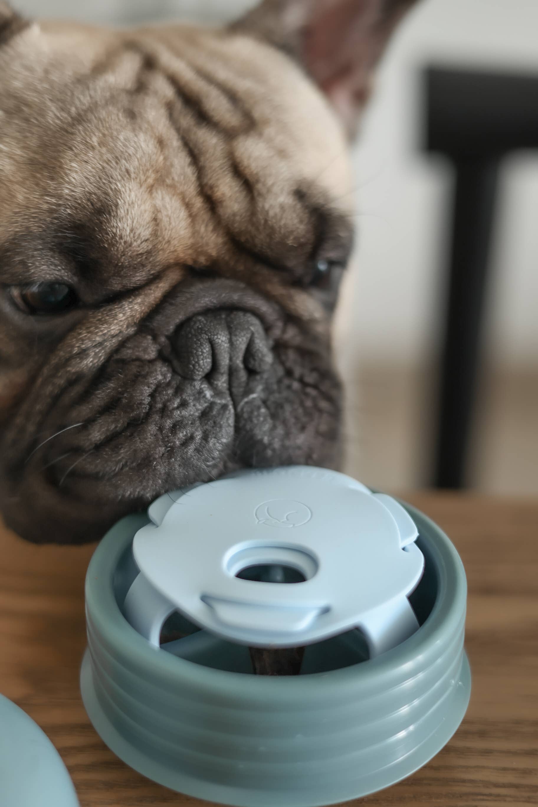 Lunoji - Pebble: All-in-One Dog Toy | Slow Feeder + Treat Dispenser