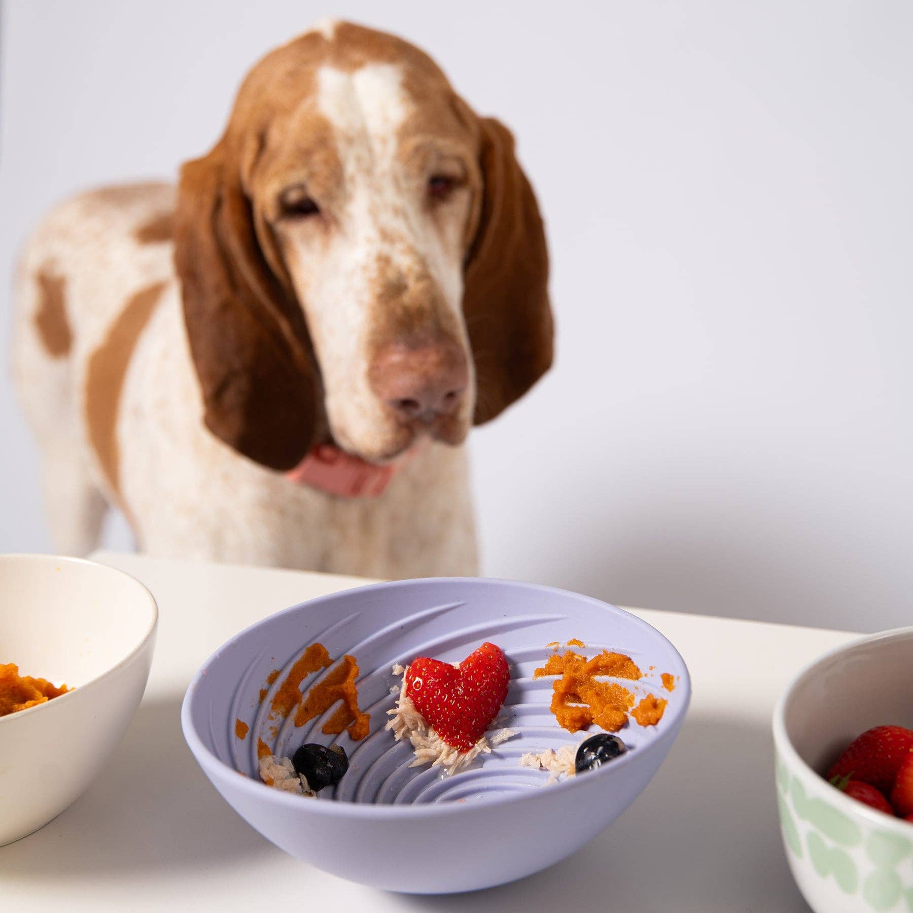 Awoo - Wobbowl Lick & Slow Feeder Bowl