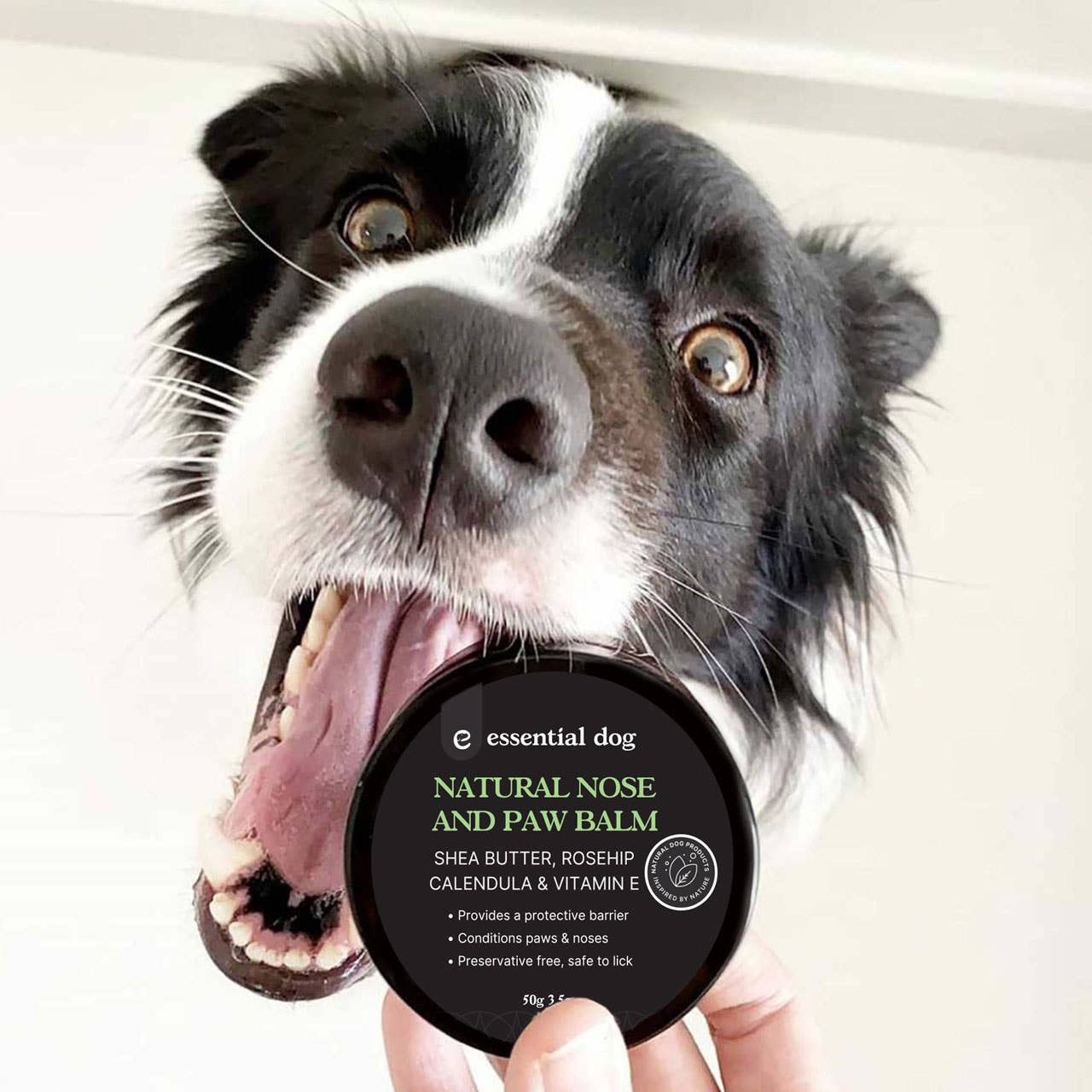 Essential Dog - Dog Nose & Paw Balm (Shea, Rosehip, Calendula & Vitamin E)