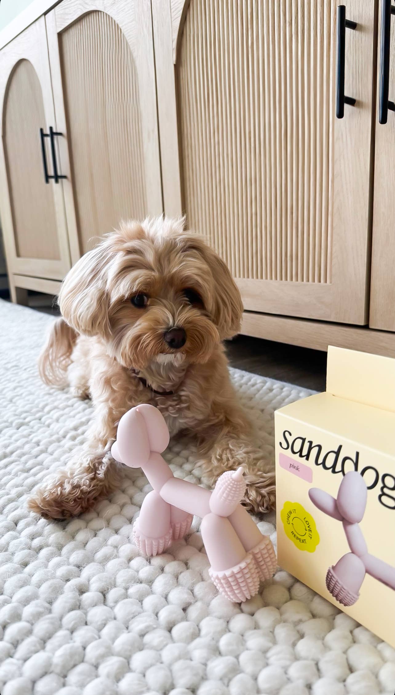 Sanddog - Art Balloon Dog Toy Pink