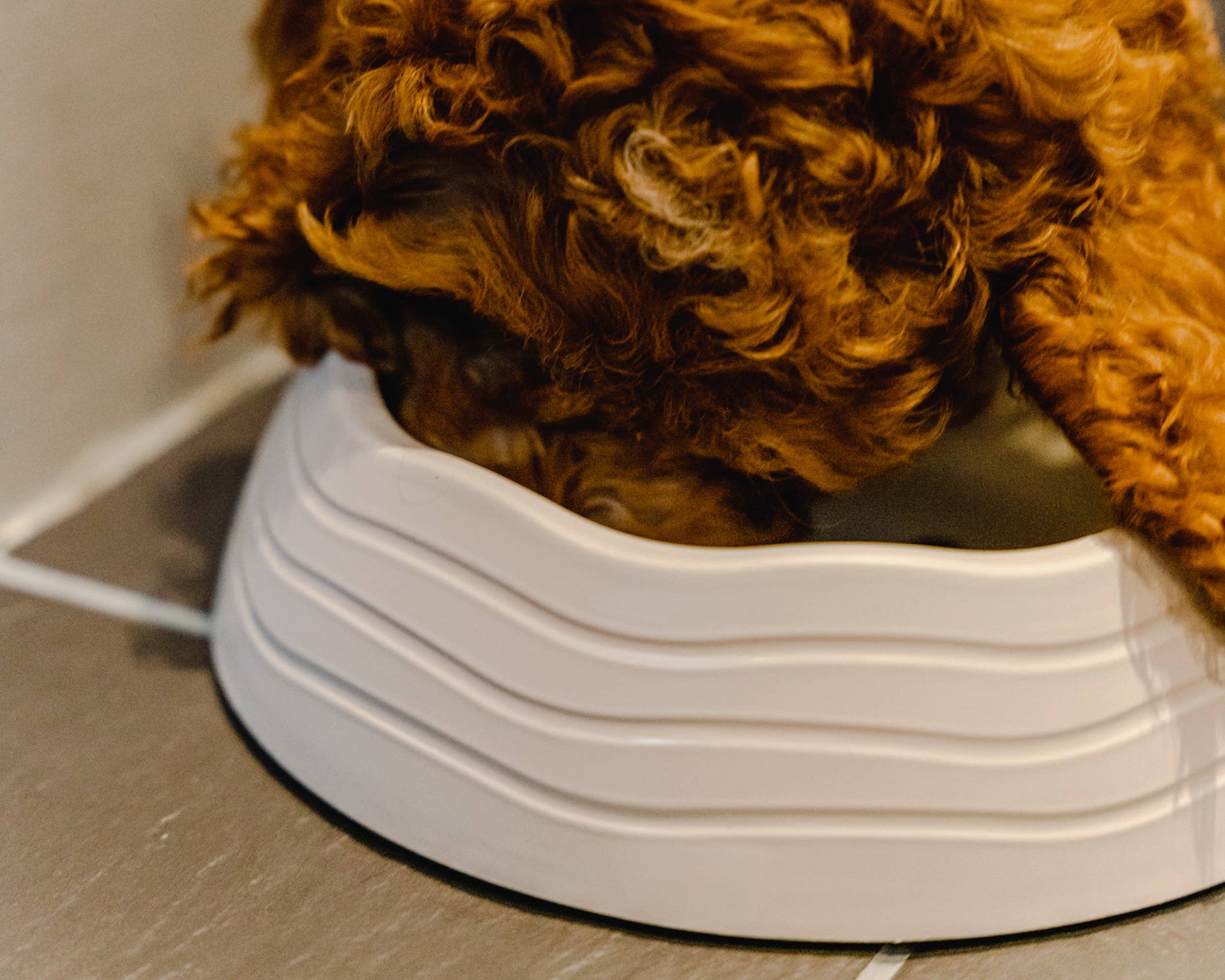 Ochien Recycled Ocean Plastic Dog Bowl