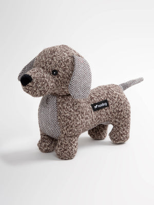 Nordog - Joachim The Dachshund