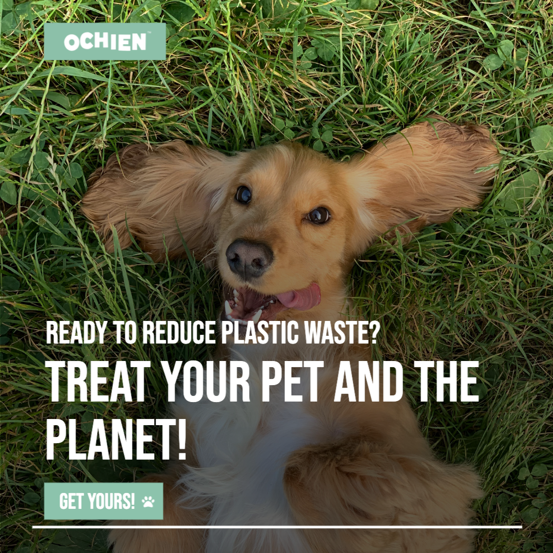 Ochien Recycled Ocean Plastic Dog Bowl