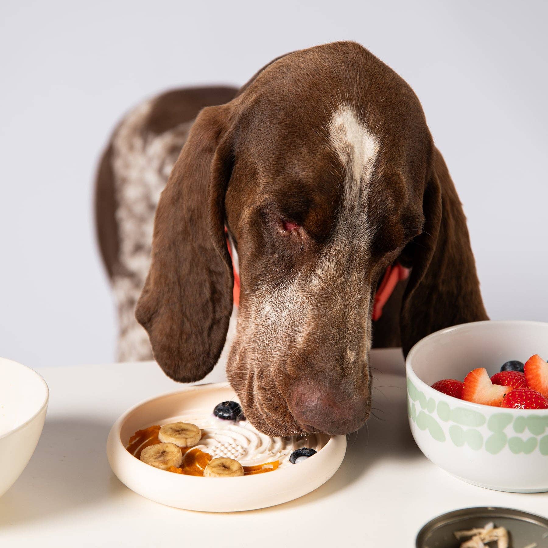 Awoo - Lick Dish Slow Feeder