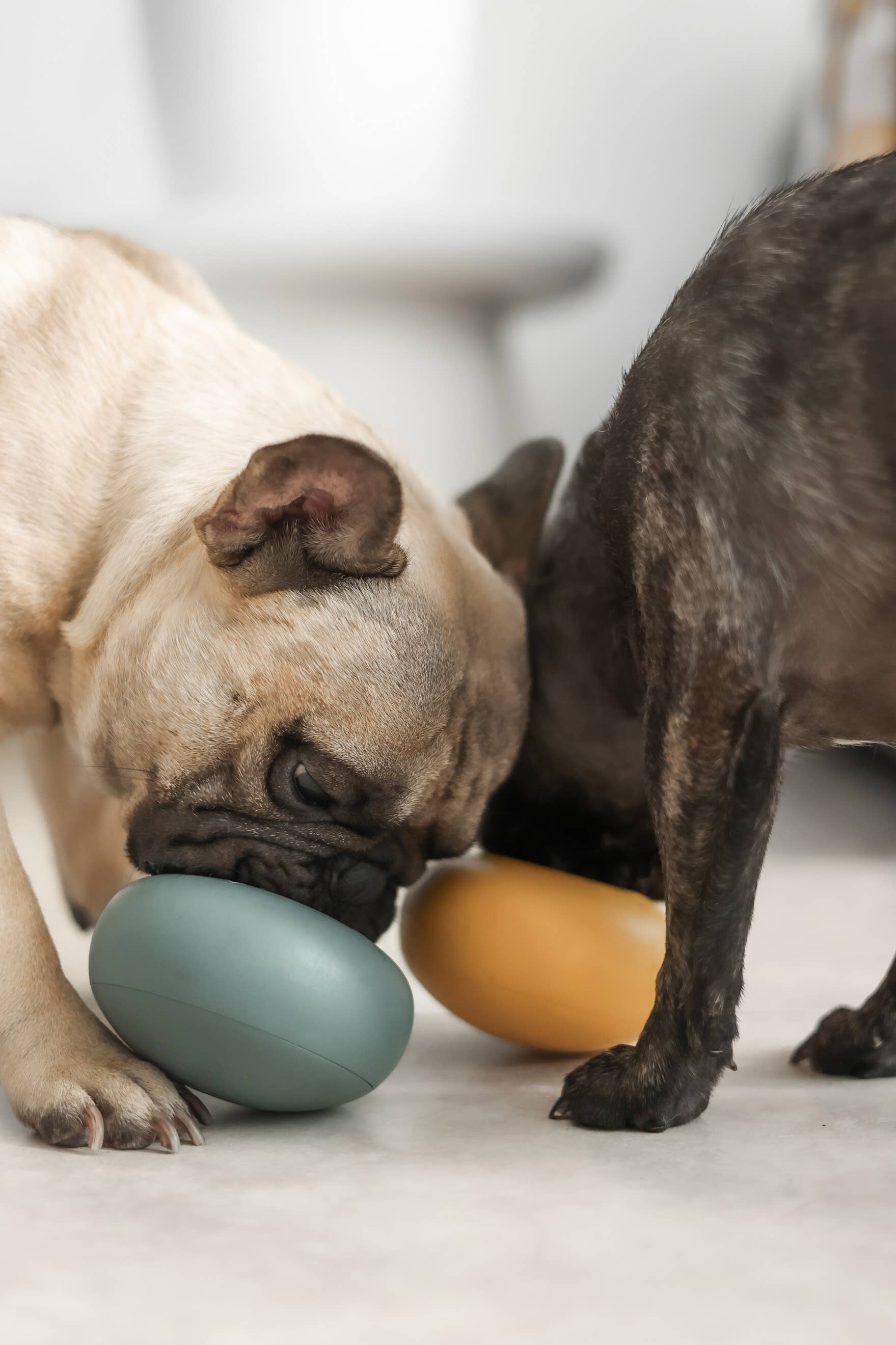 Lunoji - Pebble: All-in-One Dog Toy | Slow Feeder + Treat Dispenser