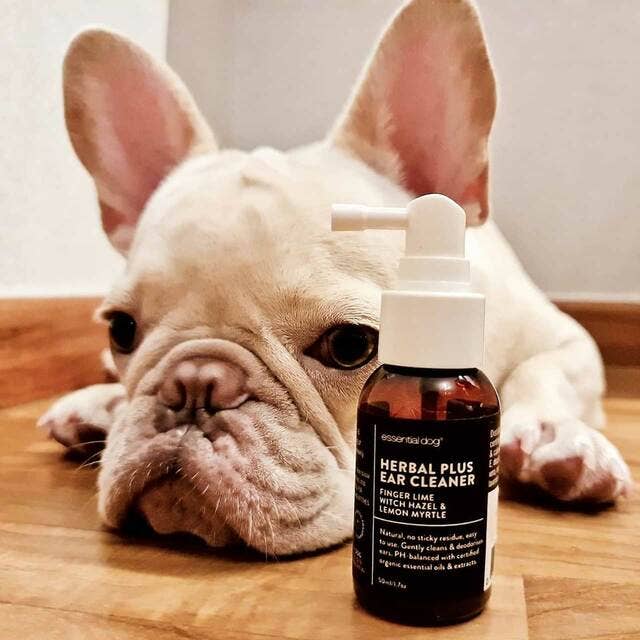 Essential Dog - Herbal Dog Ear Cleaner (Finger Lime & Lemon Myrtle)