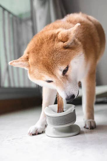 Lunoji - CHEWDEN Grip: Dog Chew Holder | Enrichment Tool | Dog Safety