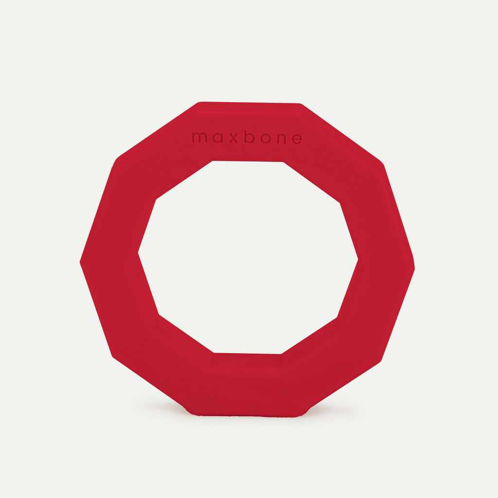 maxbone - Decagon Rubber Toy for Dogs