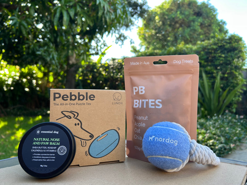 Bright Paws Starter Box