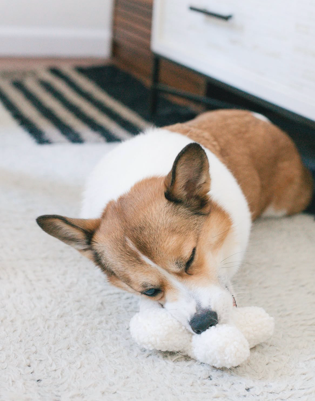 Pruff - Hugs Boucle Toy