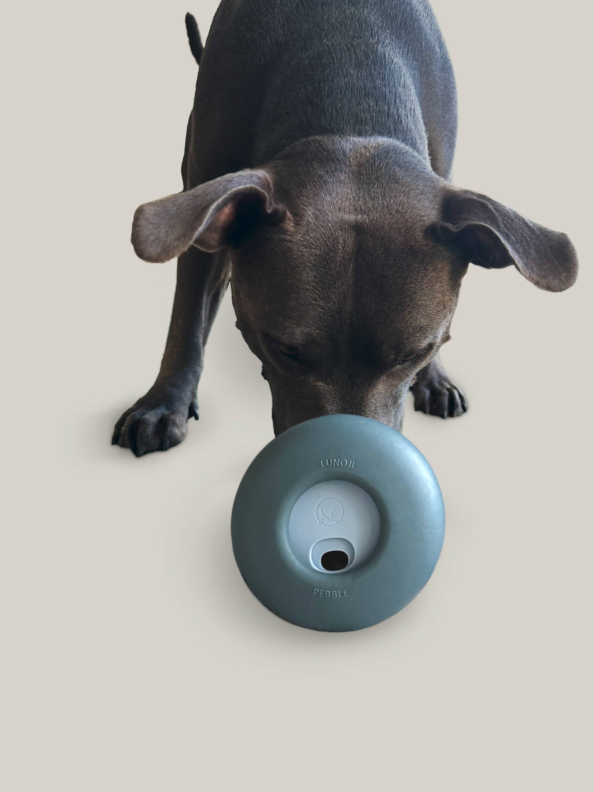 Lunoji - Pebble: All-in-One Dog Toy | Slow Feeder + Treat Dispenser