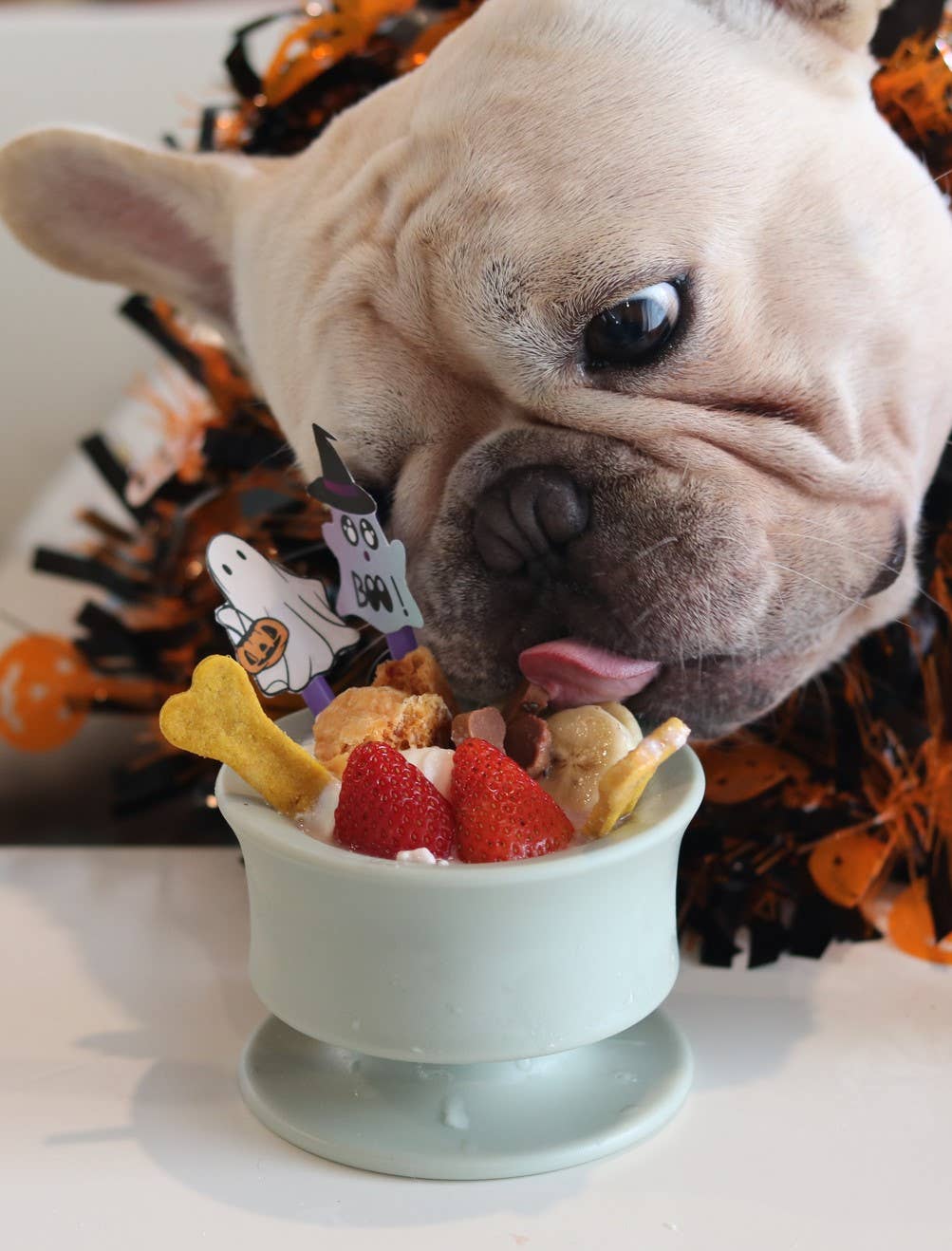 Lunoji - CHEWDEN Trove: Dog Enrichment Feeder | Frozen Treat Cup