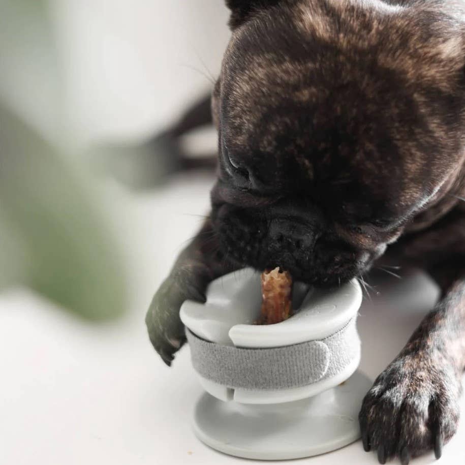 Lunoji - CHEWDEN Grip: Dog Chew Holder | Enrichment Tool | Dog Safety