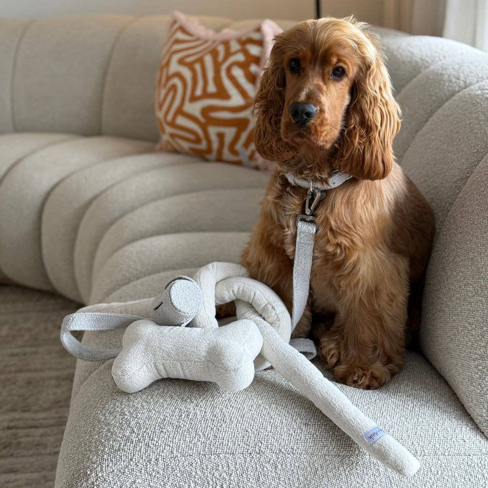 Lily and Dash Bone Toys