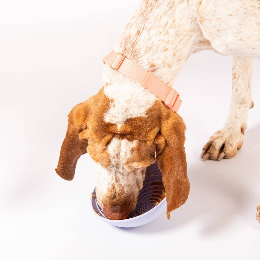 Awoo - Wobbowl Lick & Slow Feeder Bowl