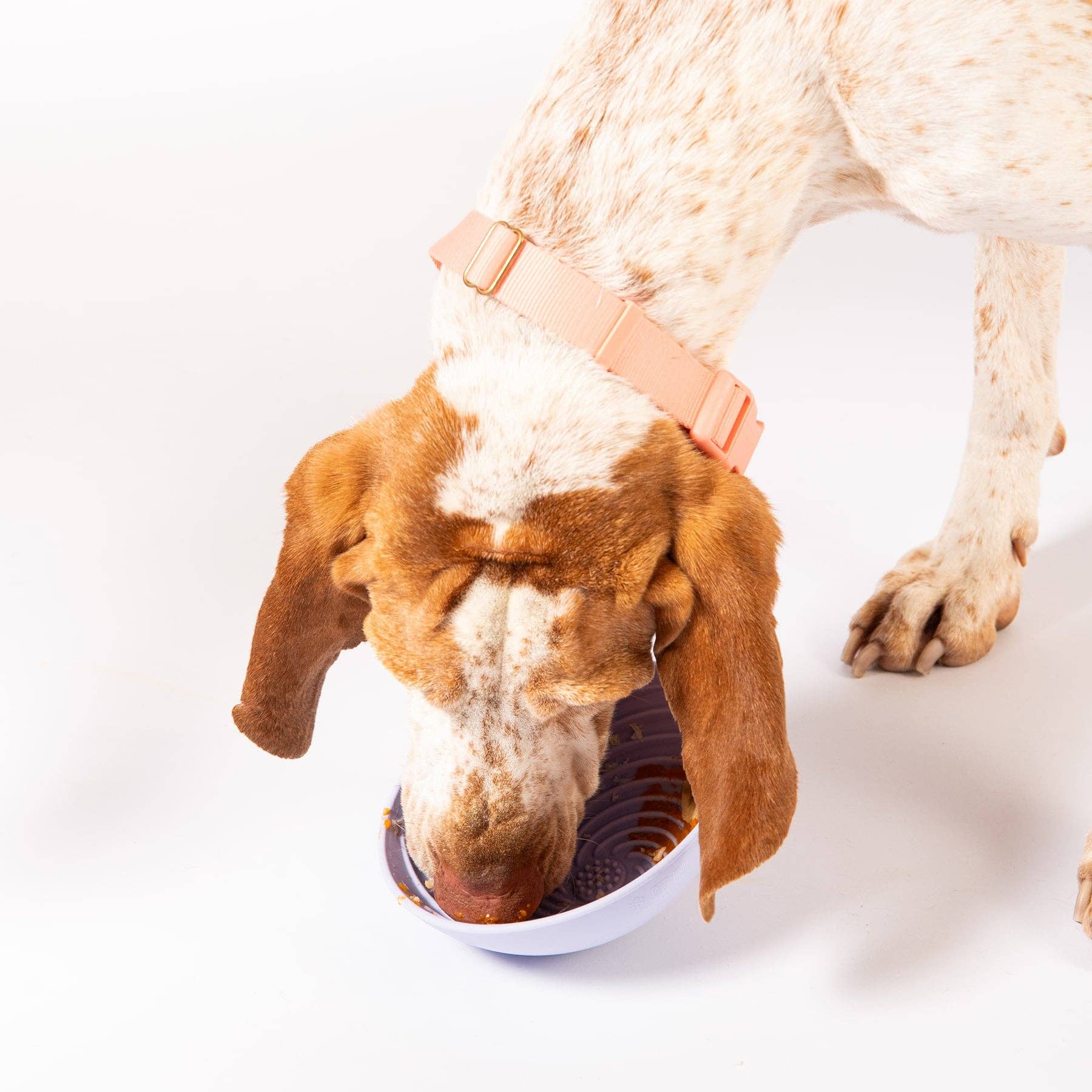 Awoo - Wobbowl Lick & Slow Feeder Bowl