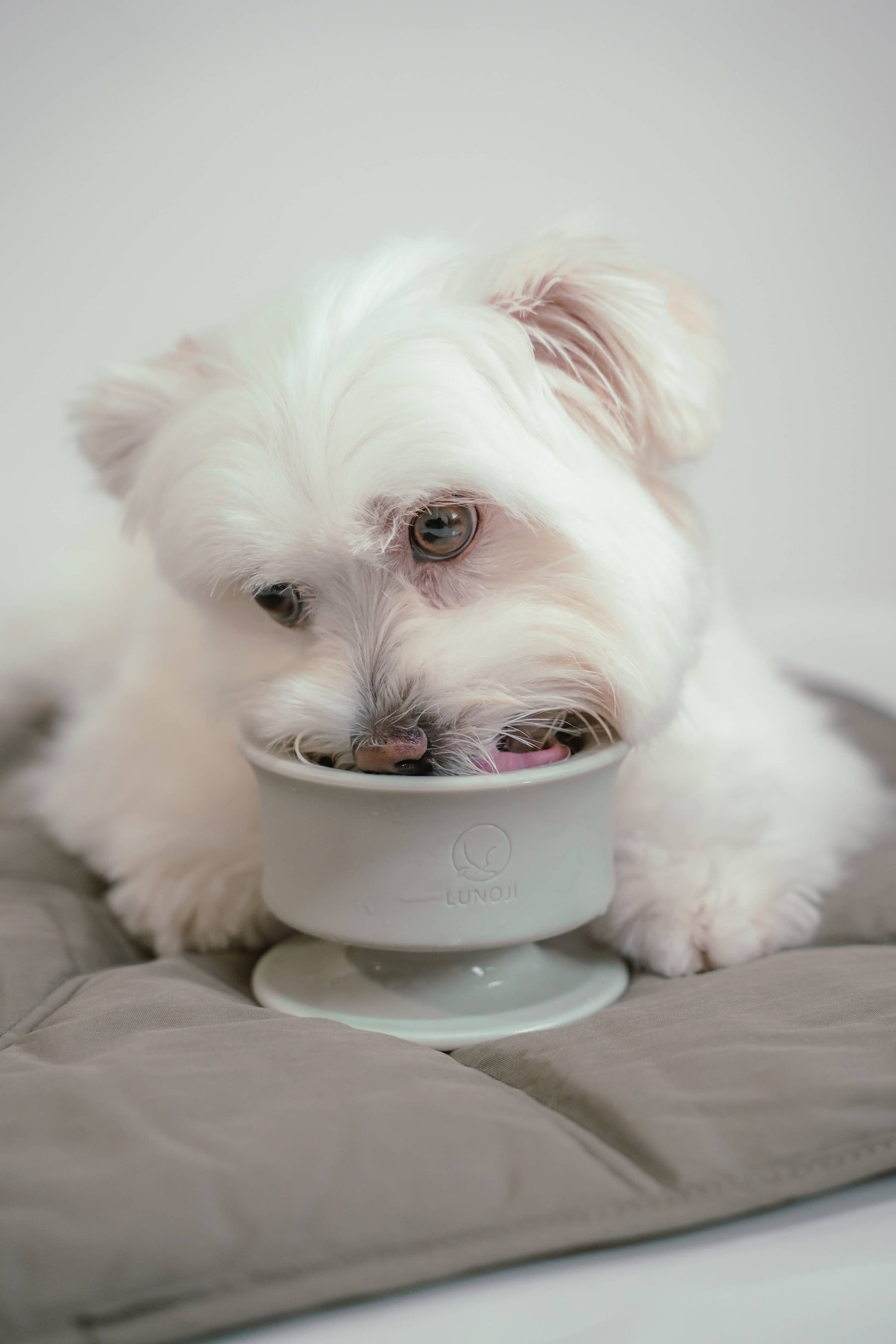 Lunoji - CHEWDEN Trove: Dog Enrichment Feeder | Frozen Treat Cup