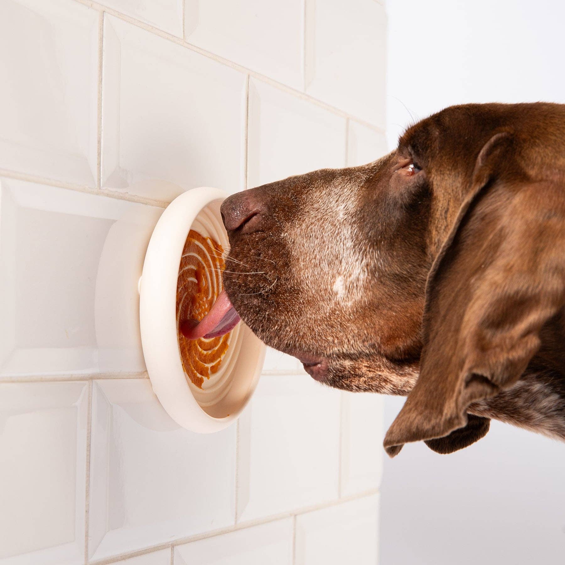 Awoo - Lick Dish Slow Feeder