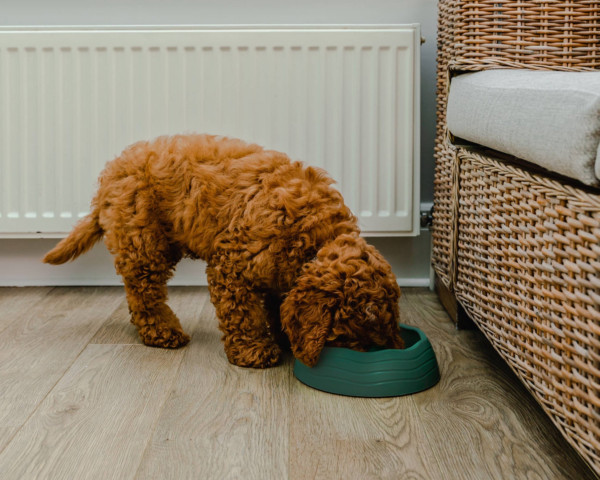 Ochien Recycled Ocean Plastic Dog Bowl