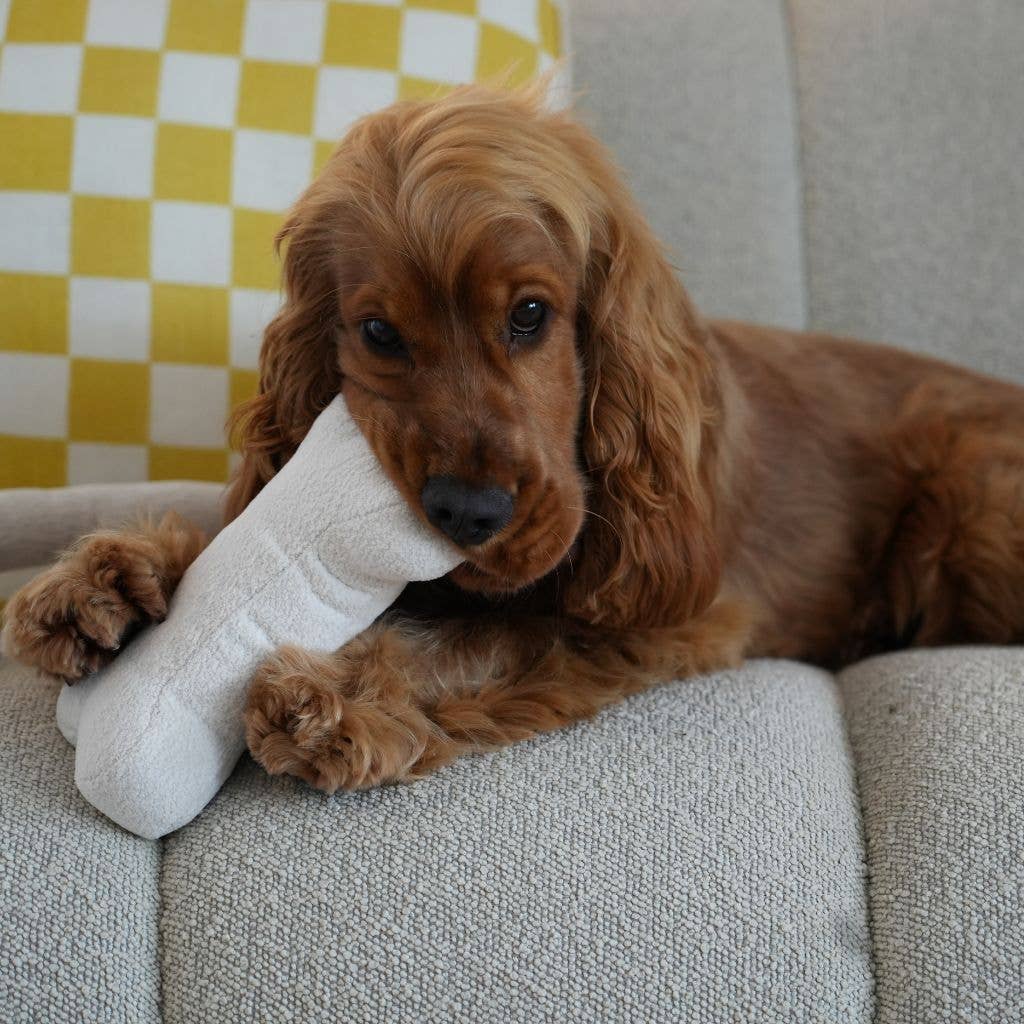 Lily and Dash Bone Toys