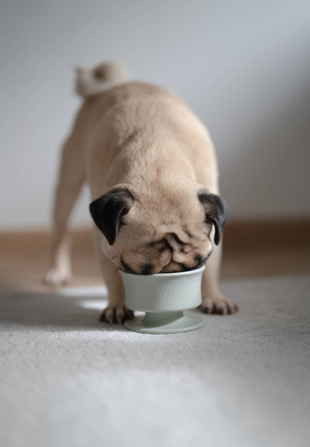 Lunoji - CHEWDEN Trove: Dog Enrichment Feeder | Frozen Treat Cup