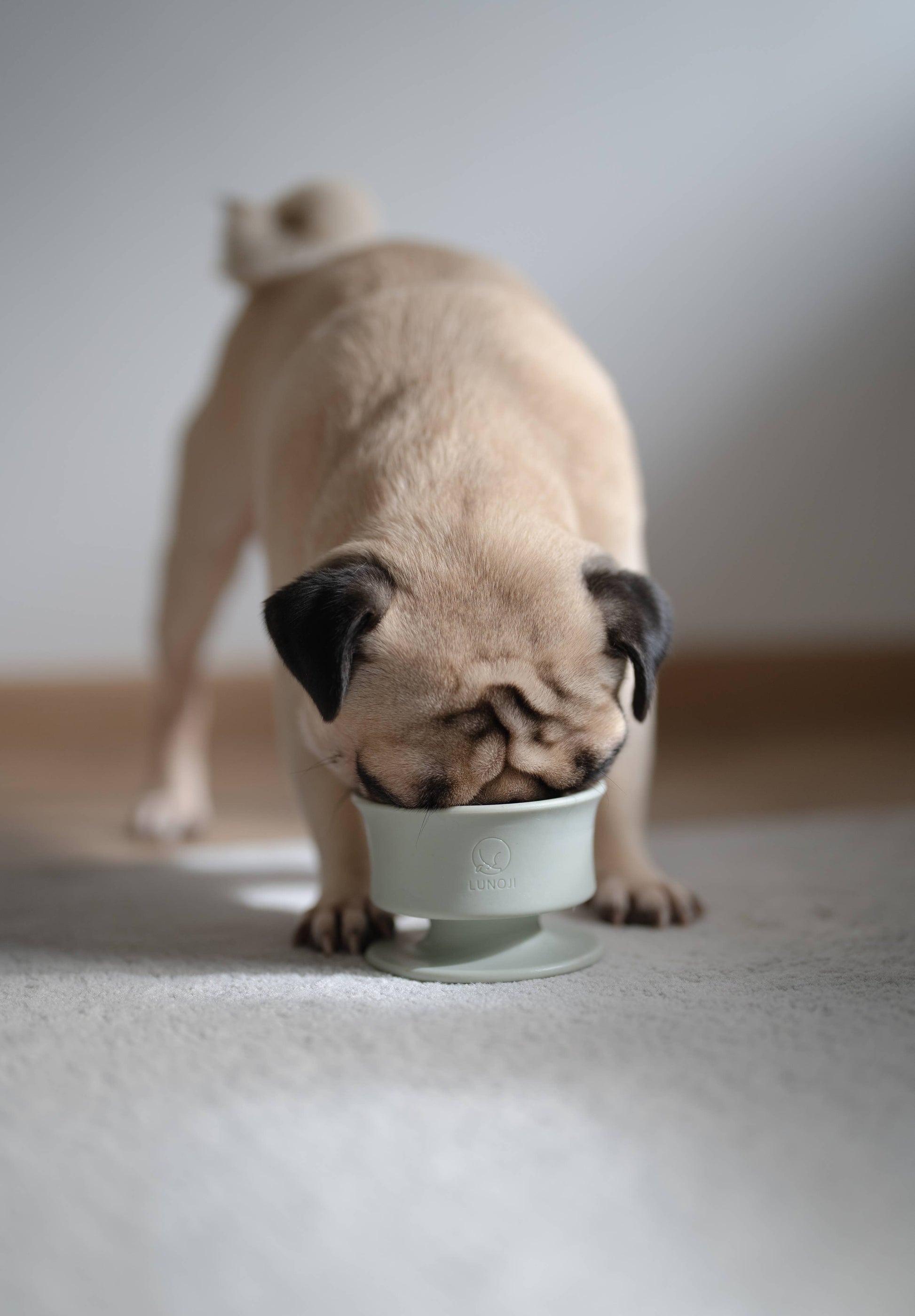 Lunoji - CHEWDEN Trove: Dog Enrichment Feeder | Frozen Treat Cup