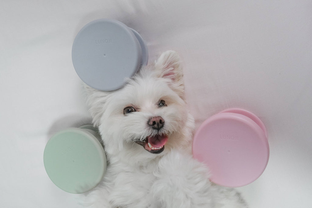 Lunoji - CHEWDEN Trove: Dog Enrichment Feeder | Frozen Treat Cup