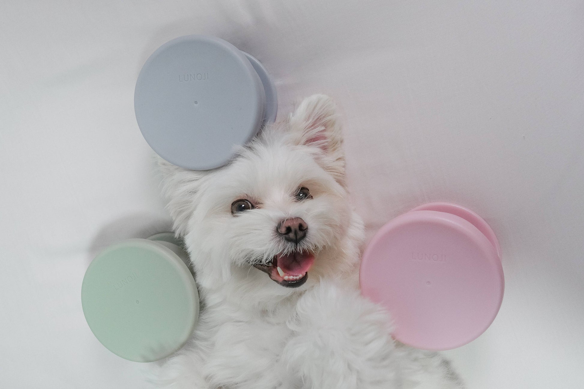 Lunoji - CHEWDEN Trove: Dog Enrichment Feeder | Frozen Treat Cup