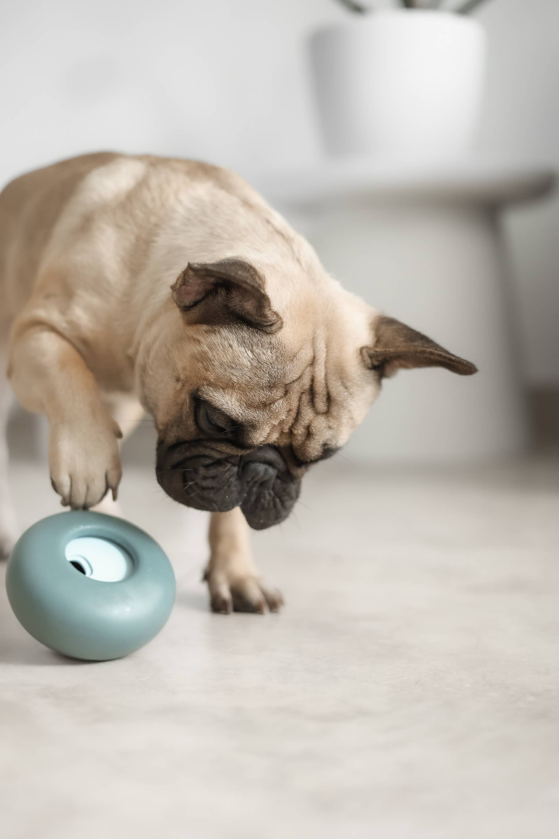 Lunoji - Pebble: All-in-One Dog Toy | Slow Feeder + Treat Dispenser