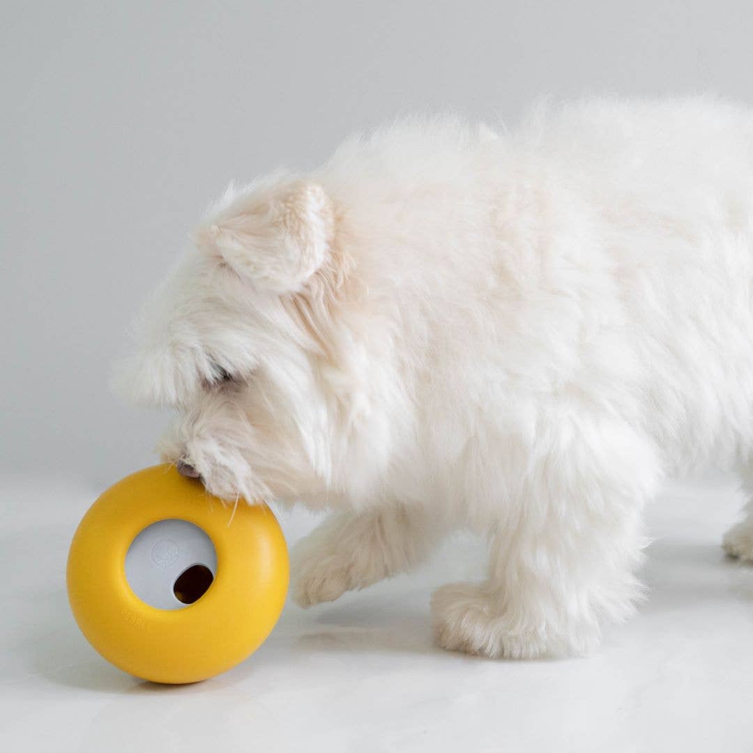 Lunoji - Pebble: All-in-One Dog Toy | Slow Feeder + Treat Dispenser