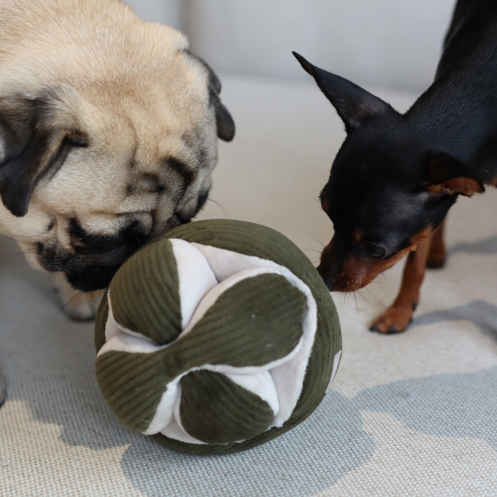 Lambwolf Collective - MONTI Enrichment Toy