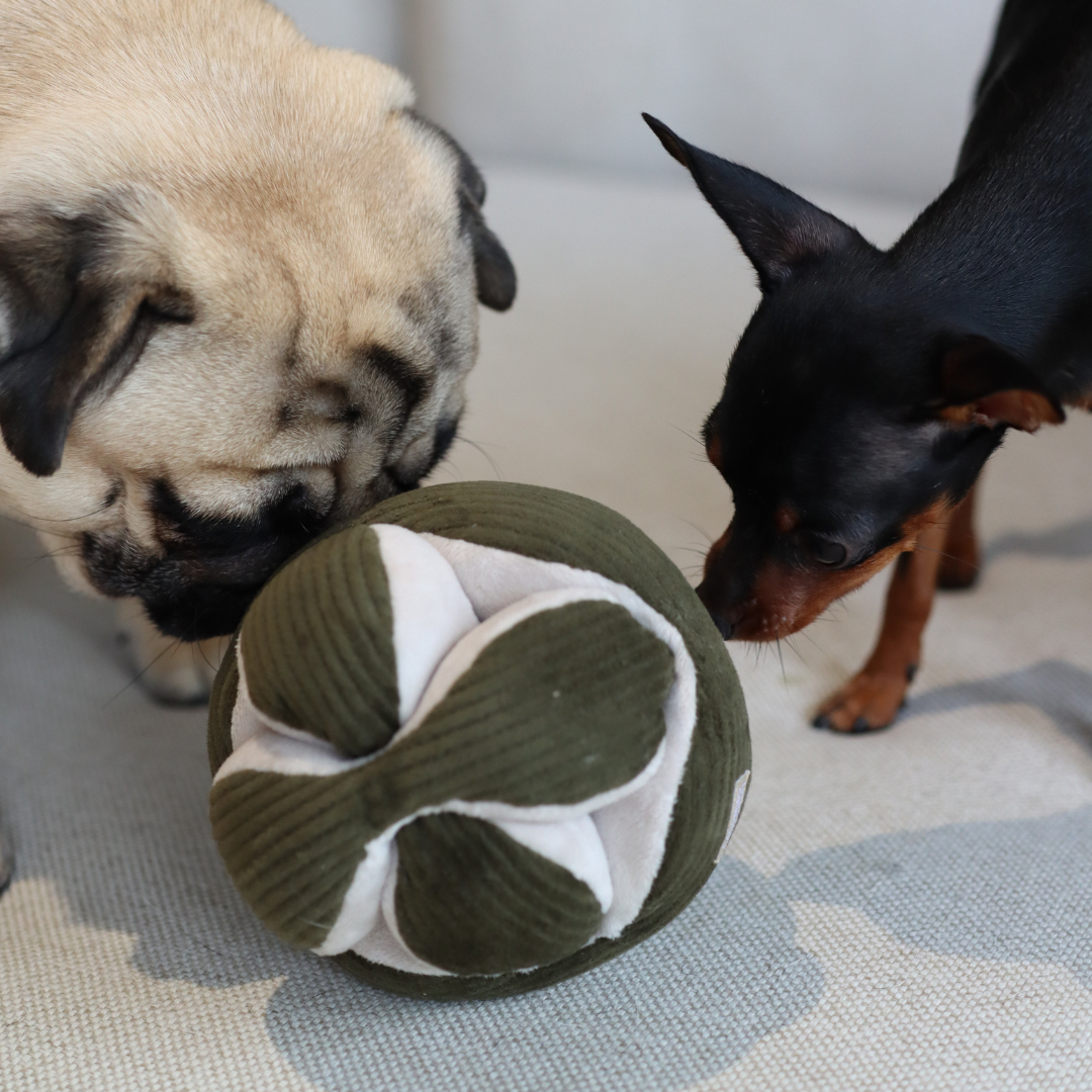 Lambwolf Collective - MONTI Enrichment Toy